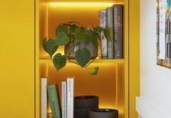 ALM-L497M_BIE-L455_Regal_2022