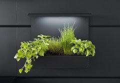 Paneelzubehoer_Paneelgarten-mit-Beleuchtung-2