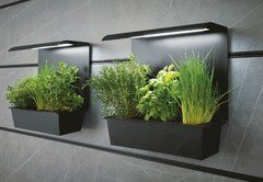 next125_nx950-C2765_nx912-G187_Paneelgarten